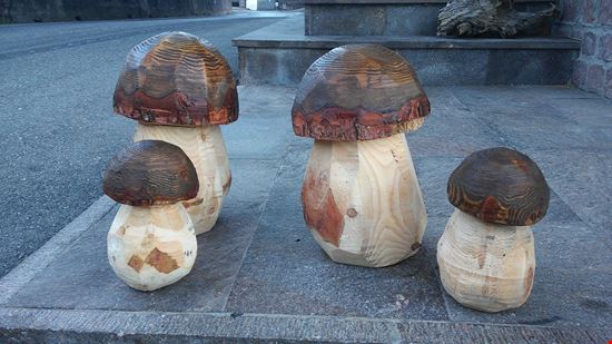 porcini  porcini   